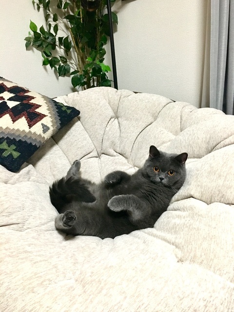 image1 (1).jpeg